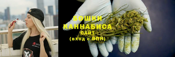 ПСИЛОЦИБИНОВЫЕ ГРИБЫ Баксан