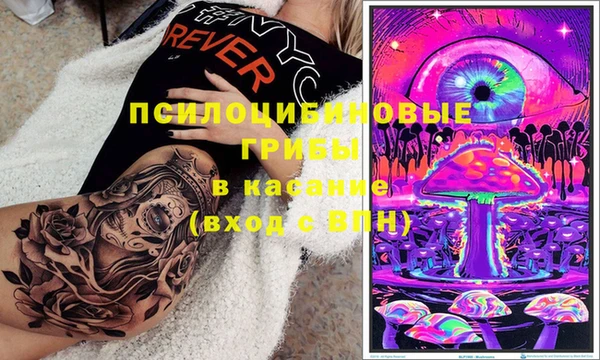 гидра Балахна