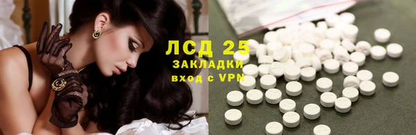 ПСИЛОЦИБИНОВЫЕ ГРИБЫ Баксан
