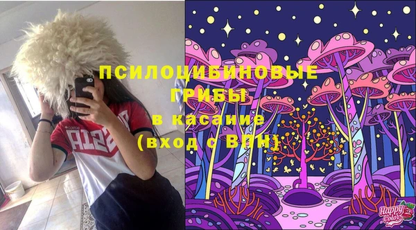 гидра Балахна