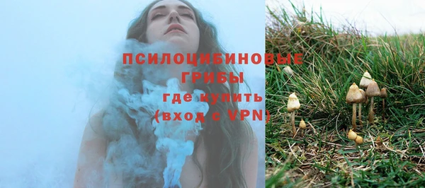 гидра Балахна