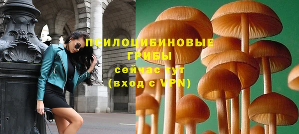 ПСИЛОЦИБИНОВЫЕ ГРИБЫ Баксан