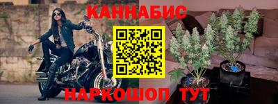 Альфа ПВП Ливны