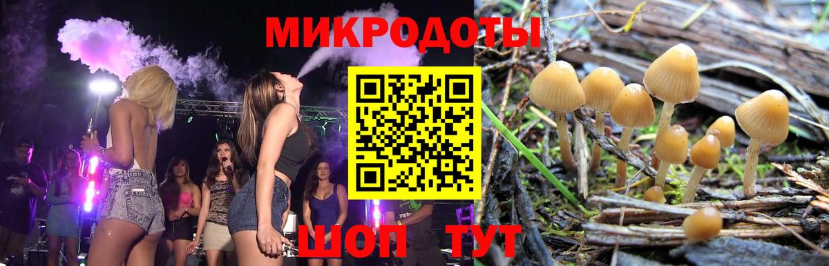 Галлюциногенные грибы GOLDEN TEACHER Вольск