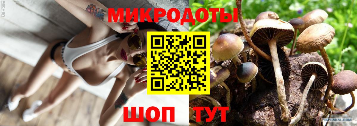 Вольск  Псилоцибиновые грибы мухоморы  Псилоцибиновые грибы Magic Shrooms  Вход с VPN 